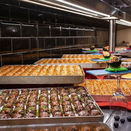 Noxinn Deluxe 코나키